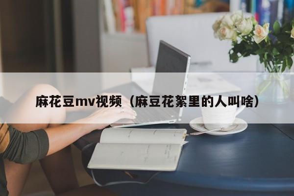 麻花豆mv视频(麻豆花絮里的人叫啥)